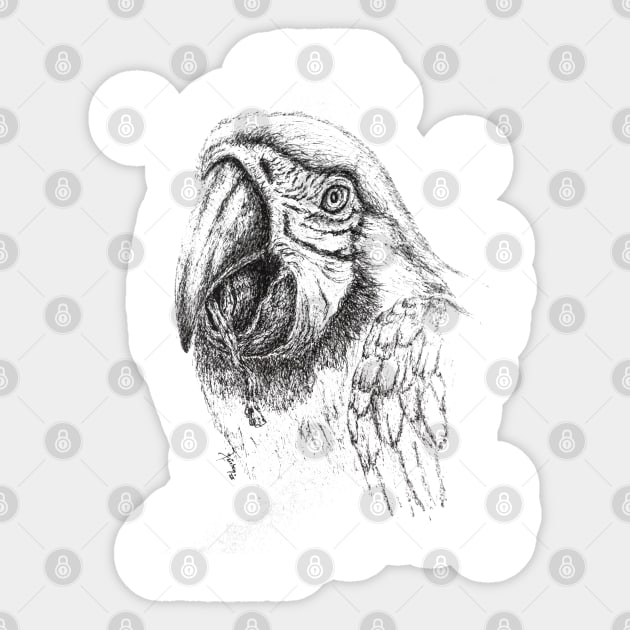 GUACAMAYA DRAWING Sticker by VerticalPrints